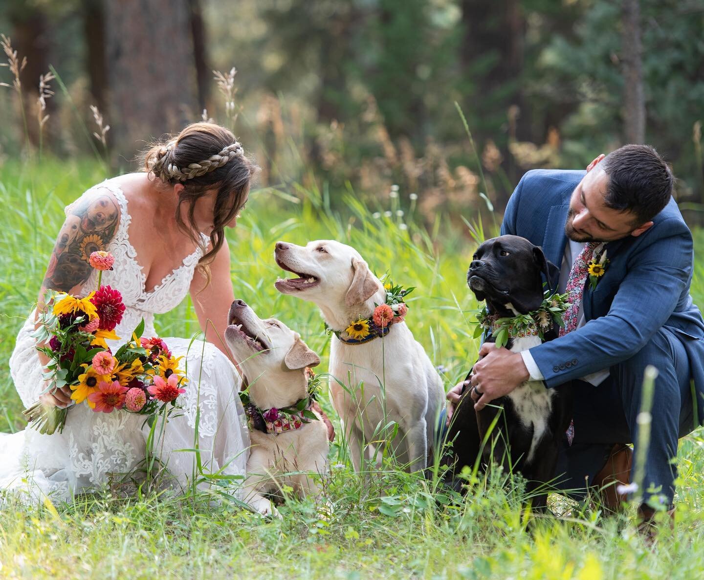 The best pups  We love when couples include their dogs in their wedding!

In E &amp; B's case they did a separate photo shoot with their dogs and we are here for it!

Don't worry! They were still represented on the day ➡️

Are you wanting to includ