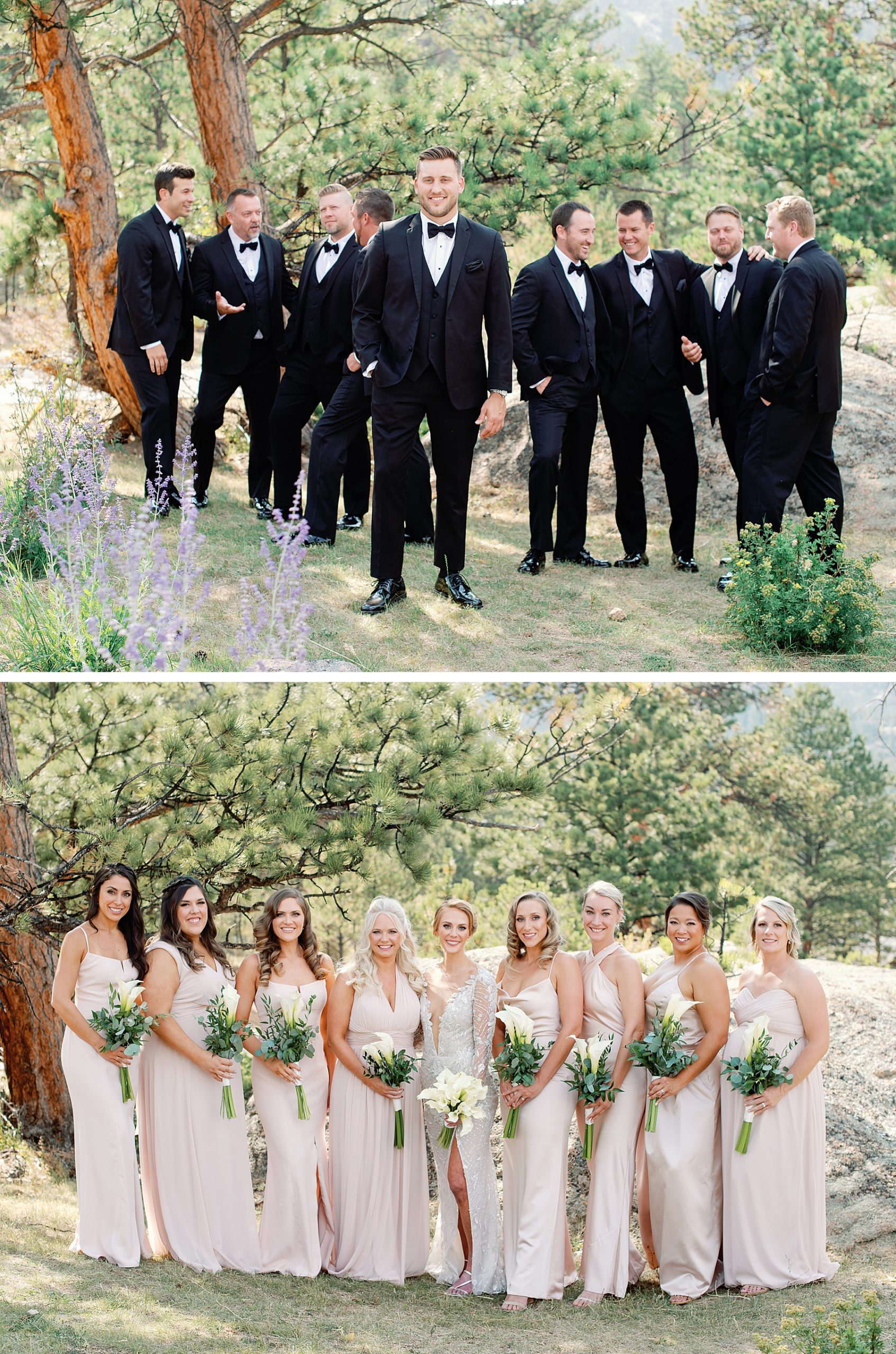 Groomsmen wearing black tuxes and bridesmaids wearing champagne dresses at The Boulders at Black Canyon Inn