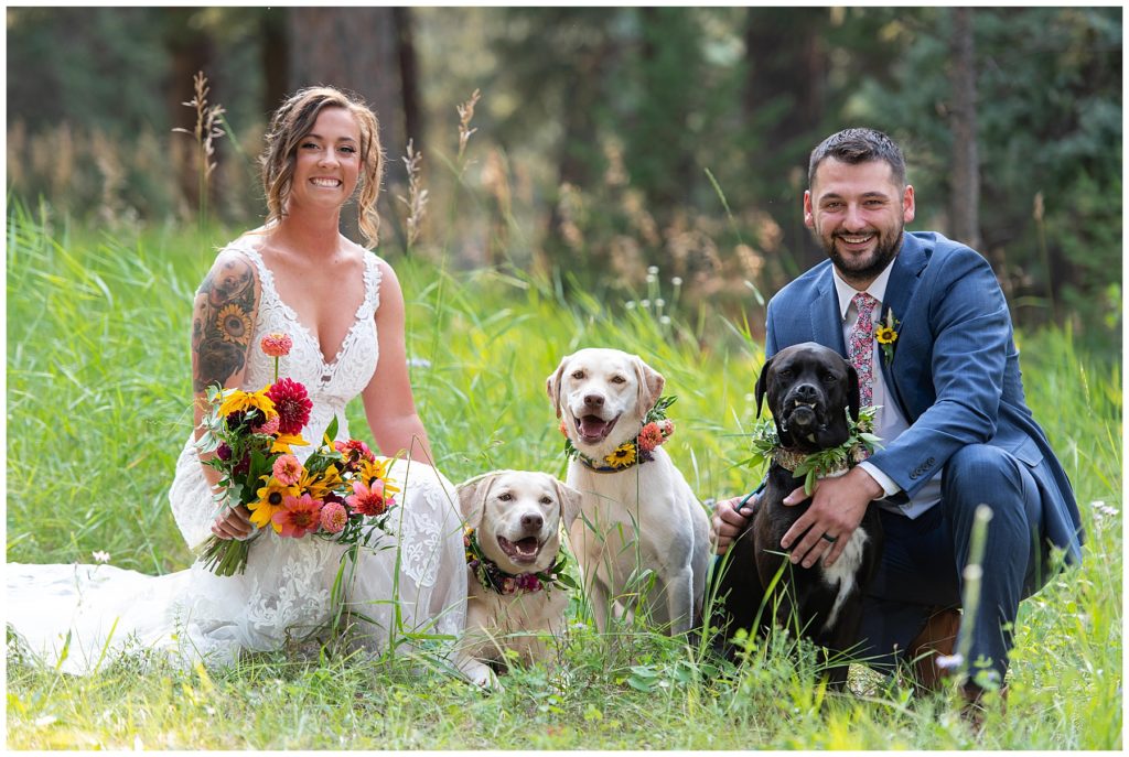 Bride and groom with three dogs on their wedding day in Colorado