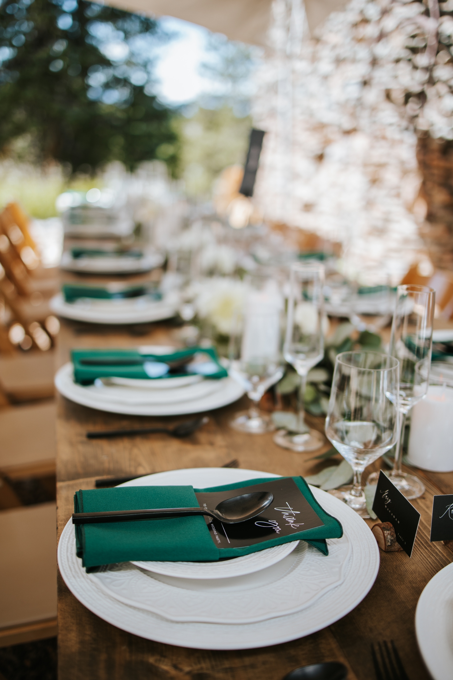 Green napkins, black paper goods, and black flatware with white plates at Telluride wedding | McArthur Weddings and Events