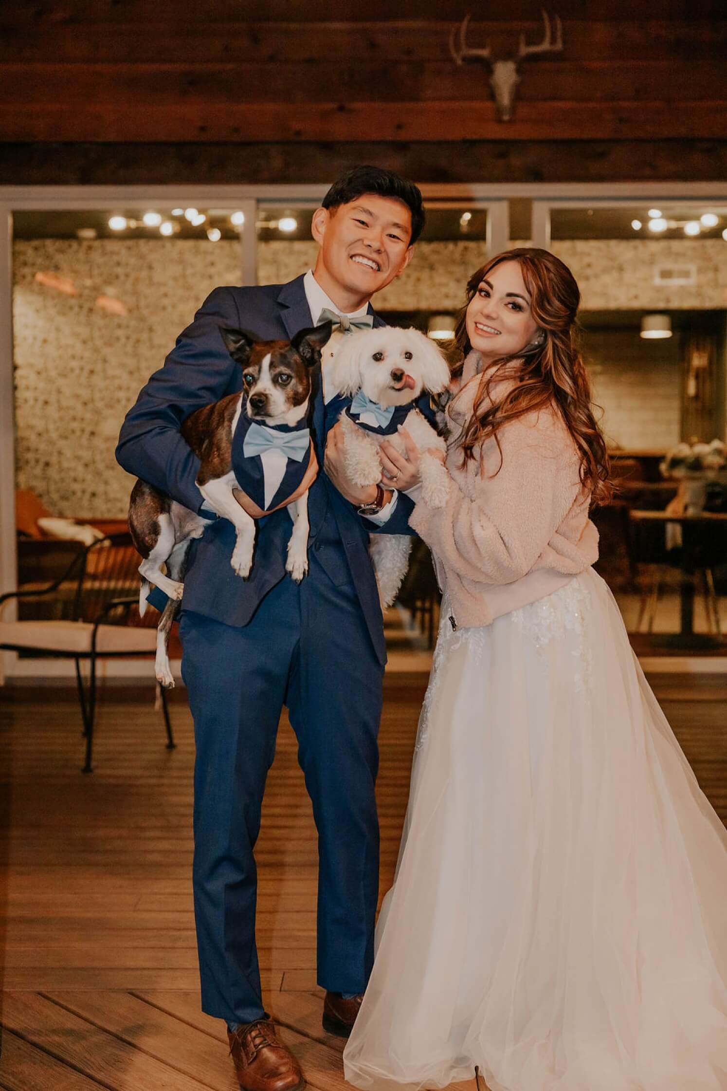 Bride and groom holding dogs after Colorado elopement | McArthur Weddings and Events