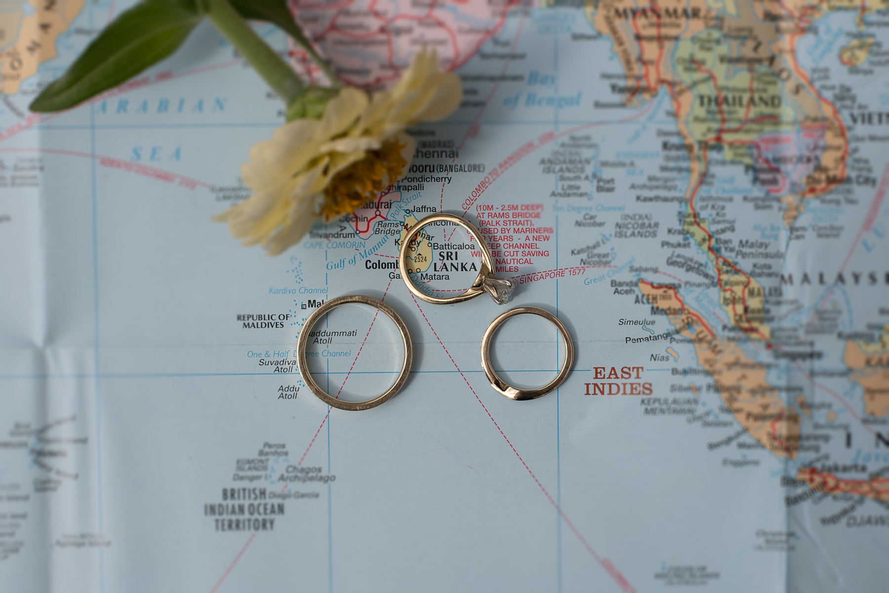 Bride and groom's rings on map 