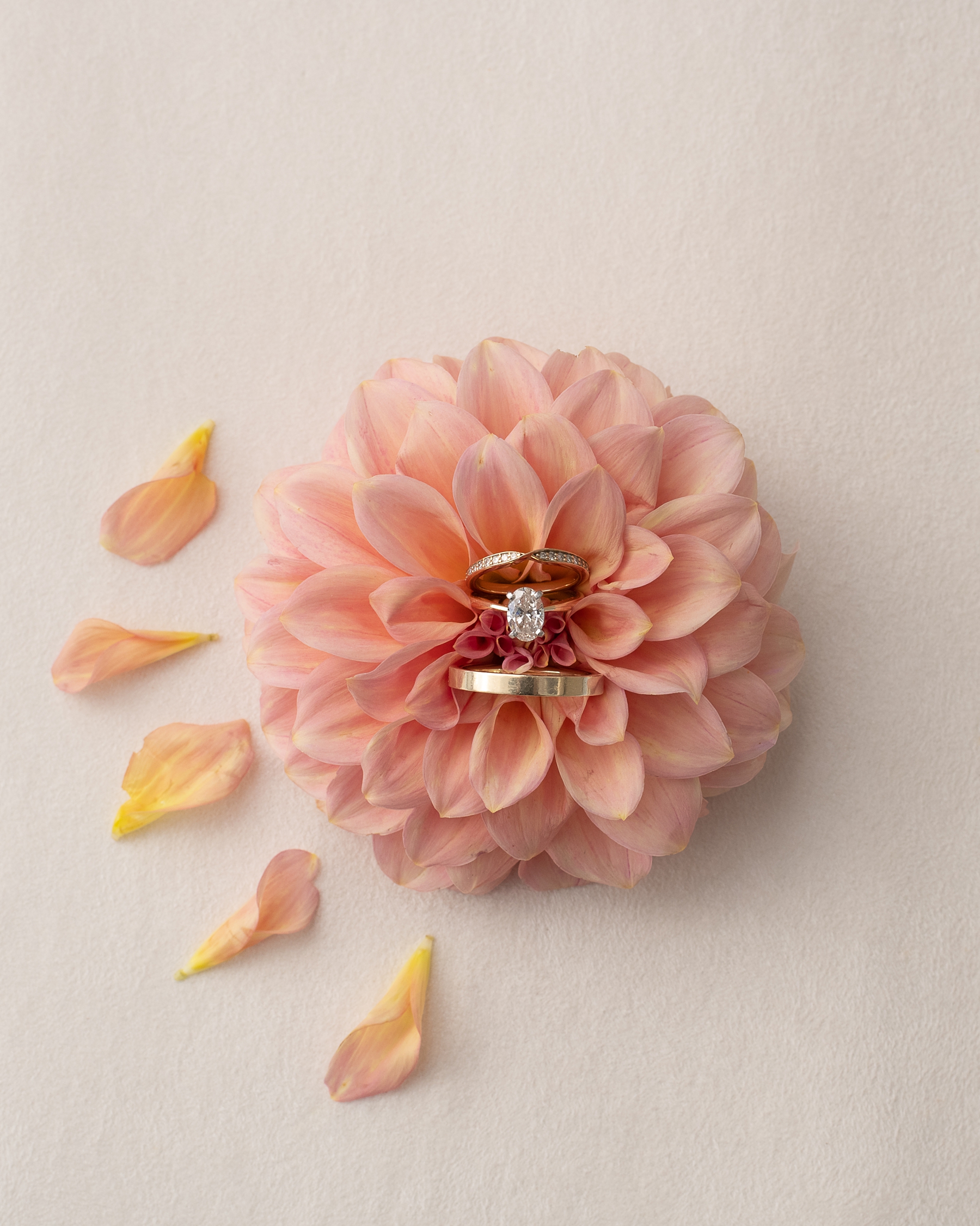 Bride and groom's rings on pink dahlia 