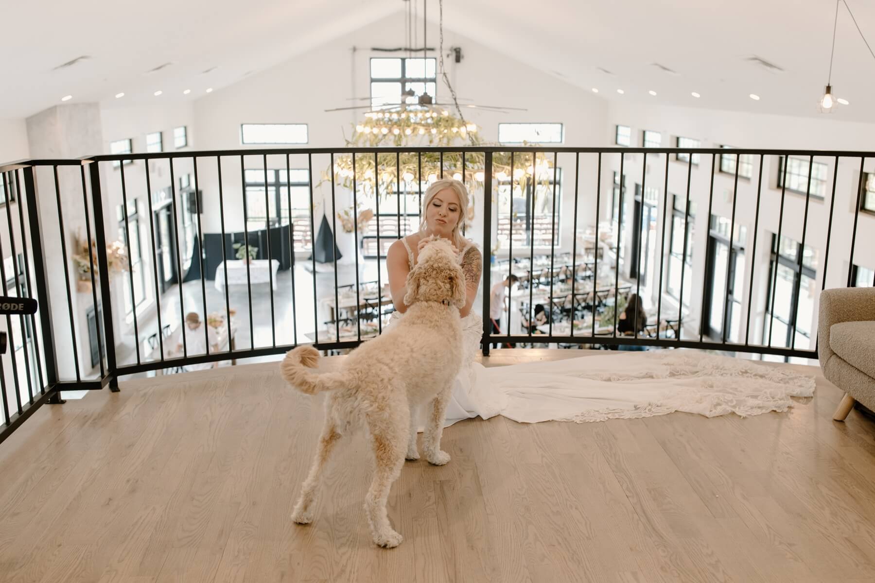 Bride having first look with goldendoodle | McArthur Weddings and Events