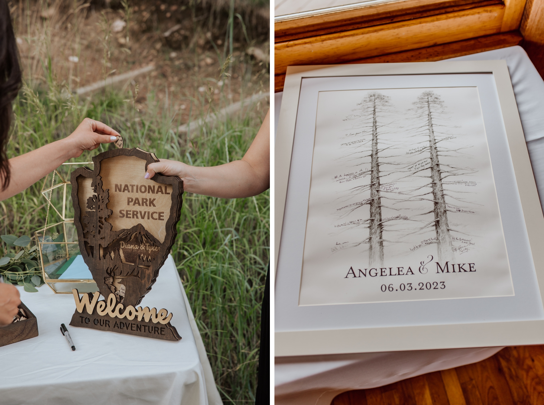 Guest placing signed wooden piece in National Park Service Guest book | Guest's signatures on tree branch art
